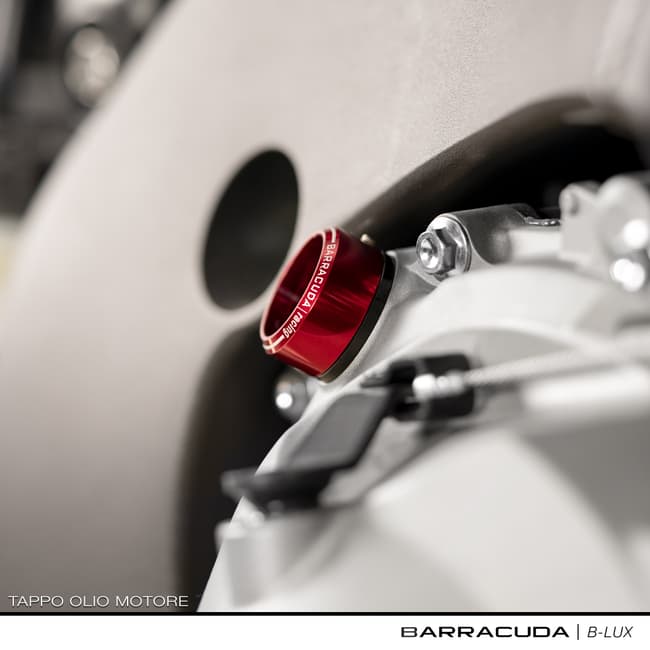 Barracuda oil cap compatible with Kawasaki Versys / ER-6n / Z650 / Z800 / Z900 / Z1000 2010