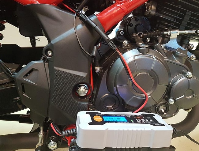 Carregador de bateria inteligente TKN com display digital