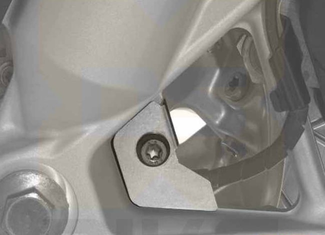 ABS-sensorbescherming voor BMW R1200GS LC '13-'18 / R1250GS '19-'22 / S1000XR '15-'19 zilver